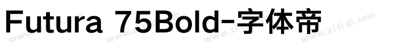 Futura 75Bold字体转换